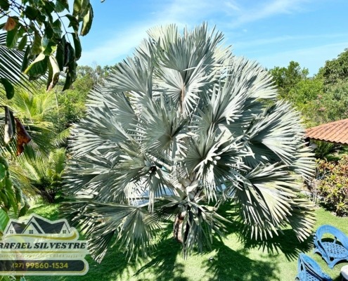 Pousada a venda em Costa Dourada BA (31)